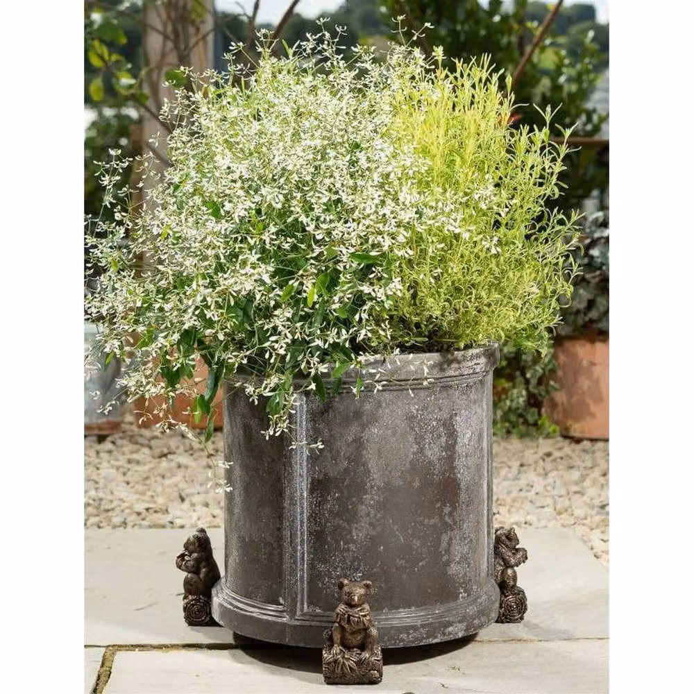 Potty Feet Koala Bear Plant Pot Feet, Set of 3, Bronze, L9 x W9 x H11 cm – 4