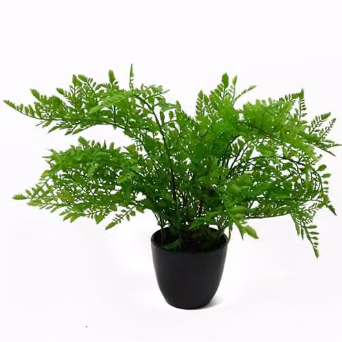 Leaf Design Realistic Artificial Potted Fern Plant in Green and Black, H 40 x W 40 x D 40 cm – 2