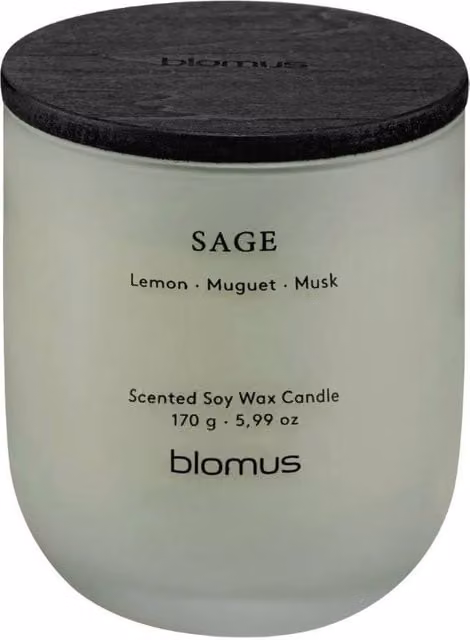Blomus Tuoksu Sage S Scented Soy Wax Candle in Desert Sage Green