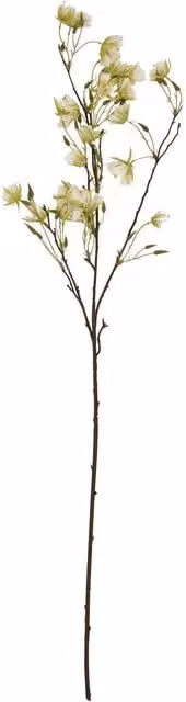 Hill Interiors Elaeocarpus Artificial Green and White Plant