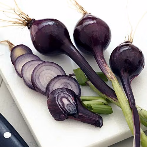 Thompson and Morgan Spring Onion Purplette Bunching Onion Seeds, 250 Seeds – 2