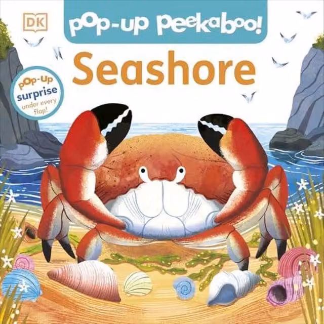 DK Pop-Up Peekaboo Seashore Multicolour Paperback Book