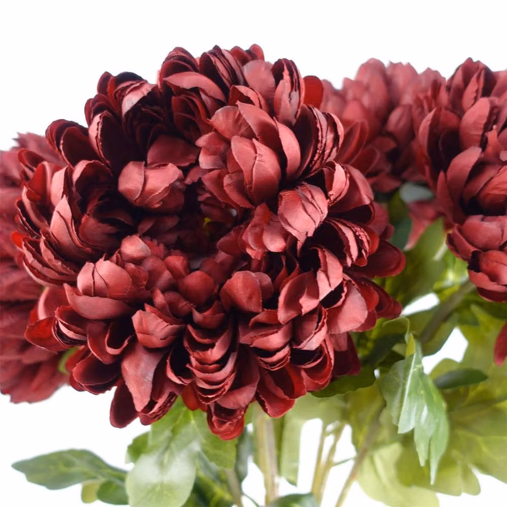 Leaf Pack of 6 Red Artificial Extra Reflex Chrysanthemums, Height: 75 cm – 2
