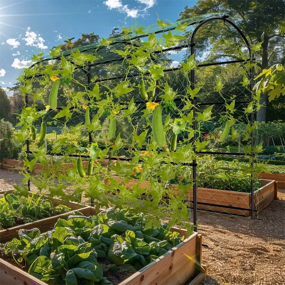 Hinsinc U Frame Black Garden Cucumber Trellis Support, W: 120 cm, H: 222 cm – 2