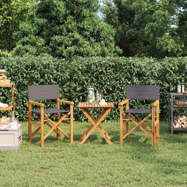 Berkfield Home Set of 2 Grey Folding Director's Chairs in Solid Teak Wood