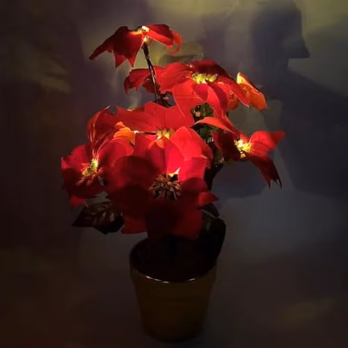 mysmartbuy Artificial Red Poinsettia Plant in a Gold Pot with LED Lights, Height: 35 cm, Diameter: 28 cm – 5