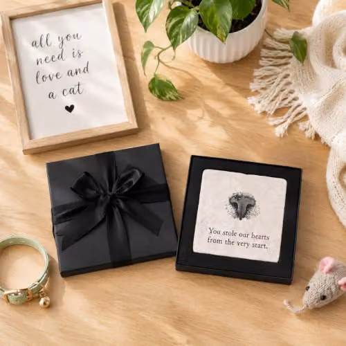 Purely Home Black Marble Cat Coaster Gift Box Set – 2