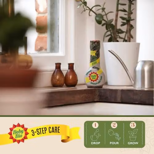 Baby Bio Organic Liquid Houseplant Food Concentrated Nitrogen Plant Tonic, 175ml – 4
