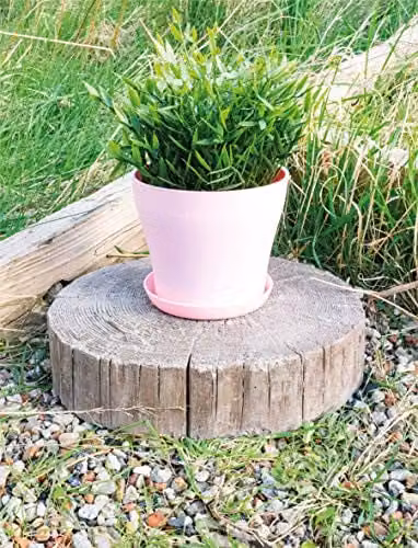 St Helens Pink Plastic Plant Pot, W/D/H: 13 x 13 x 10 cm – 2