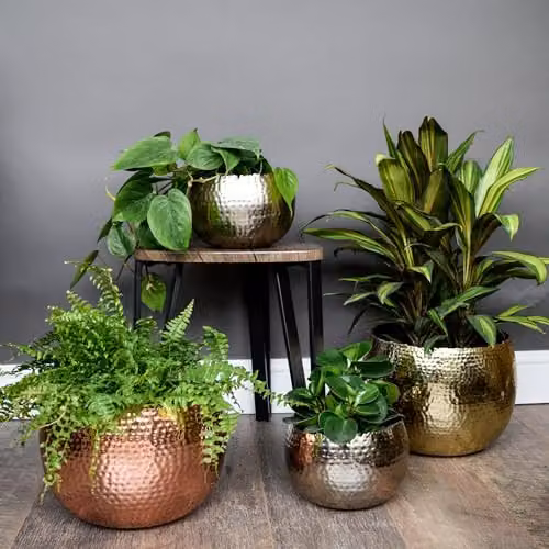 Ivyline Round Hammered Metal Planter Bowl in Copper and Black, H21cm x D30cm – 4