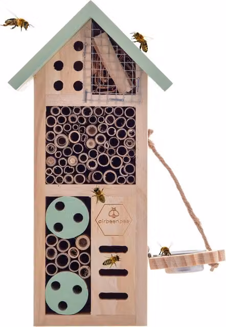 Boxer Gifts Air Bee'n'Bee Insect House in Black and Multicolour Wood