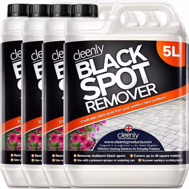 Cleenly Black Spot Remover for Patios and Driveways, Transparent, 20 l