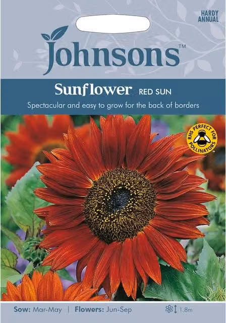 Johnsons Red Sun Sunflower Ornamental Garden Seeds