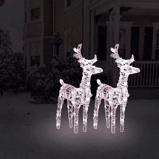 Berkfield Home Christmas Reindeers Set of 2, Warm White 80 LEDs, Acrylic Tabletop Decoration