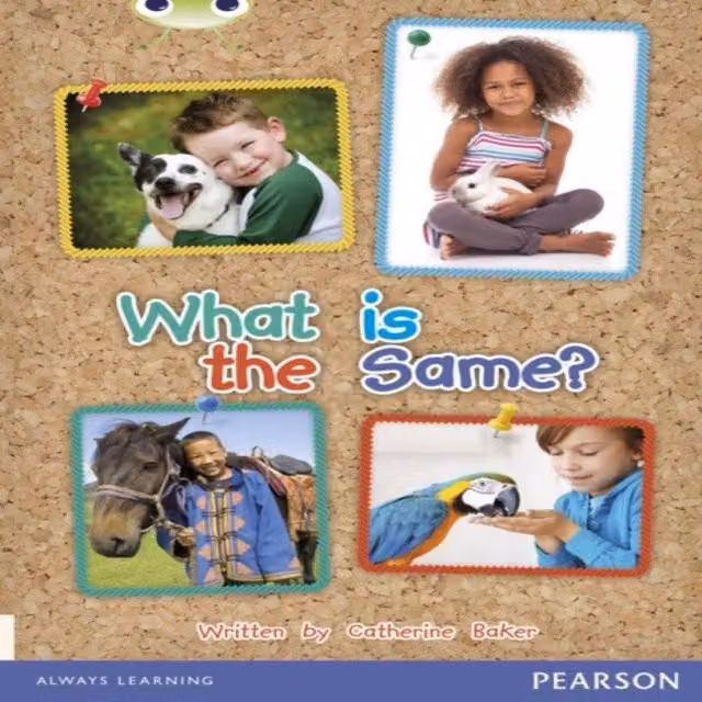 Catherine Baker Bug Club Guided Non Fiction Reception Book: What Is It? Multicolour Paper Edition