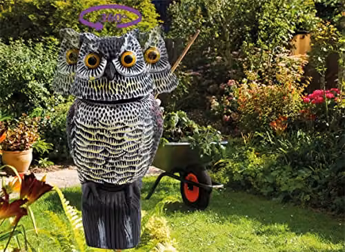 St Helens Home & Garden Life-Sized Decoy Owl with Rotating Head in Multicolour – 6