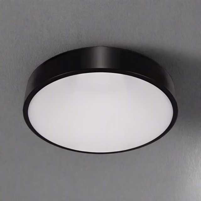 CGC Luna Black Round LED Surface Mount Ceiling and Wall Light, 48W