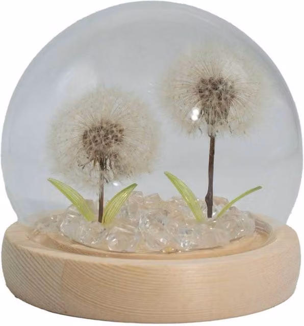 KDMD Floral Glow Garden Dome White Tabletop LED USB Light with 2 Dandelions