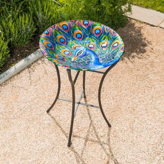 Christow Peacock Glass Bird Bath in Blue and Multicolour