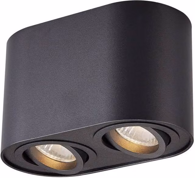 Netlighting Rondoc Round Surface Mounted Downlight in Black, 2x GU10