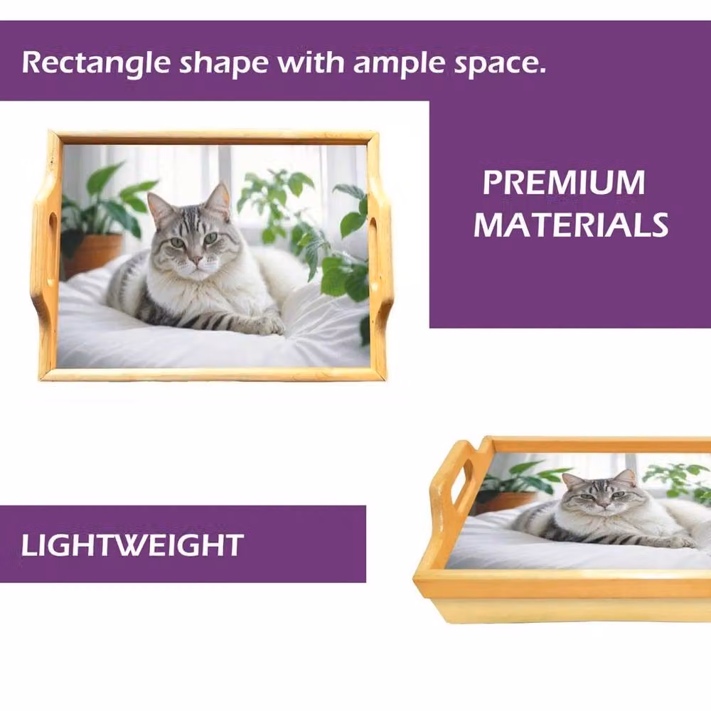 PAWNORA Cat Lap Tray with Bean Bag Padded Cushion in Beige, W/D: 100 x 100 cm – 2