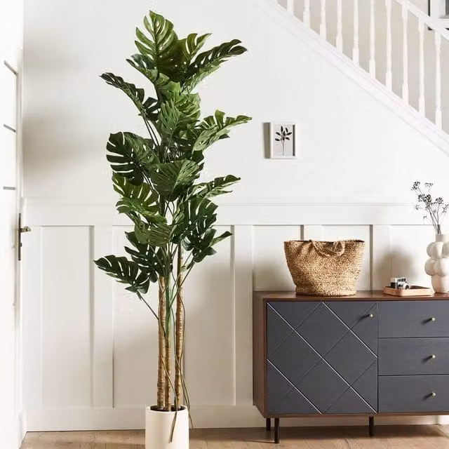 Wyld and Coco Monstera 221 cm Artificial Plant in Green Cement Pot – 1