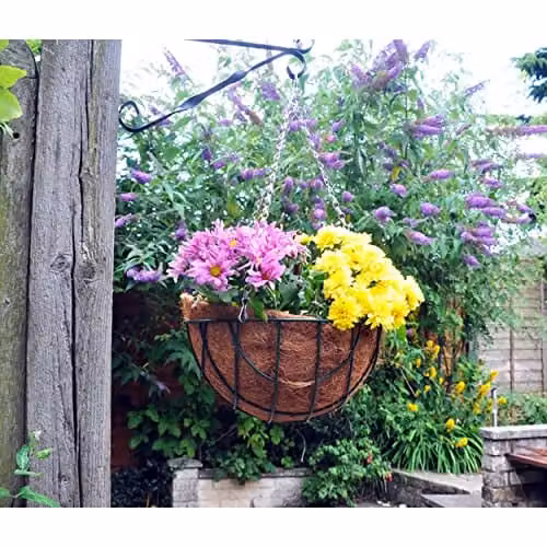Shop4allsorts Natural Brown Coco Hanging Basket Liner for a 16 Inch Basket – 3