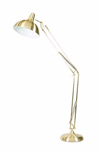 Pacific Lifestyle Gold Metal Task Floor Lamp with Adjustable Dome Shade in Brass