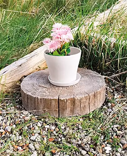 St Helens Plastic Plant Pot, White, W/D/H: 10.5 x 9 x 9 cm – 2