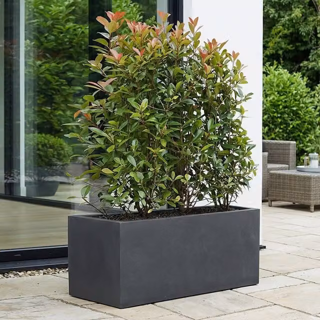 Set of 2 Idealist Rectangular Stone Garden Planter Troughs in Grey