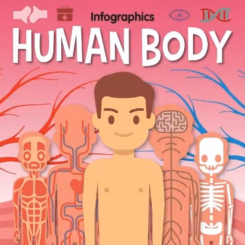 Human Body Infographics KS1 Version by BookLife Publishing, Multicolour