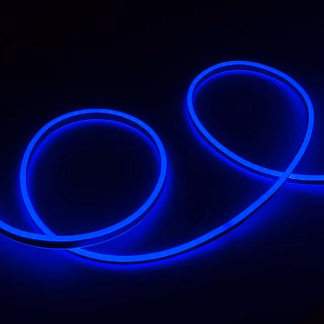 Livingandhome Blue Neon Flex LED Strip Light with Power Supply, IP65 Waterproof, 5m