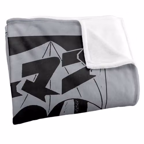LOGOVISION Batman and Robin Kanji Super Soft Fleece Throw Blanket, Multicolour, W: 152 cm, D: 127 cm – 2
