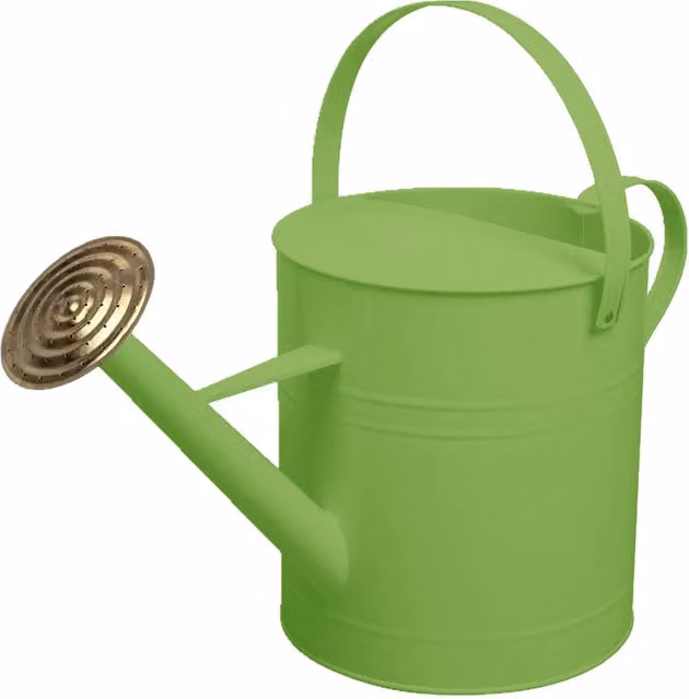 Simpa 9 l Metal Watering Can with Brass Rose in Green