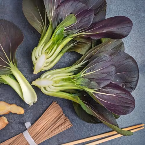 Thompson & Morgan Pak Choi Purple Rain F1 Hybrid Vegetable Seeds, 250 Seeds