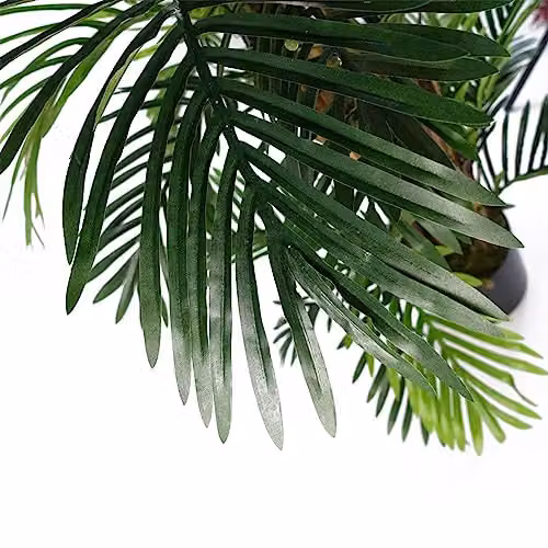 Botanik Green Artificial Palm Tree, H 150 cm x W 80 cm x D 80 cm – 8