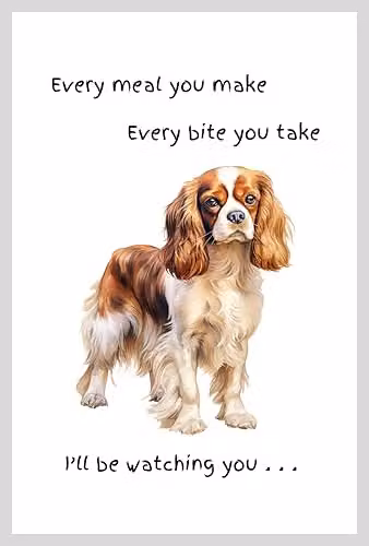 Animal Crackers Cavalier King Charles Spaniel Funny Dog Tea Towel, White and Grey, 66 cm – 3