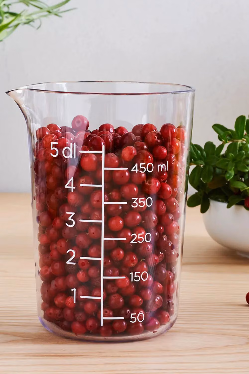 SmartStore Transparent Plastic Measuring Cup with Printed Scale, 500 ml – 2