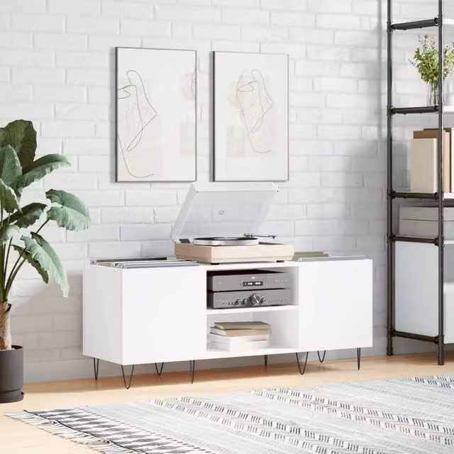 Berkfield Home Record Cabinet in White, W/D/H: 121 x 38 x 48 cm