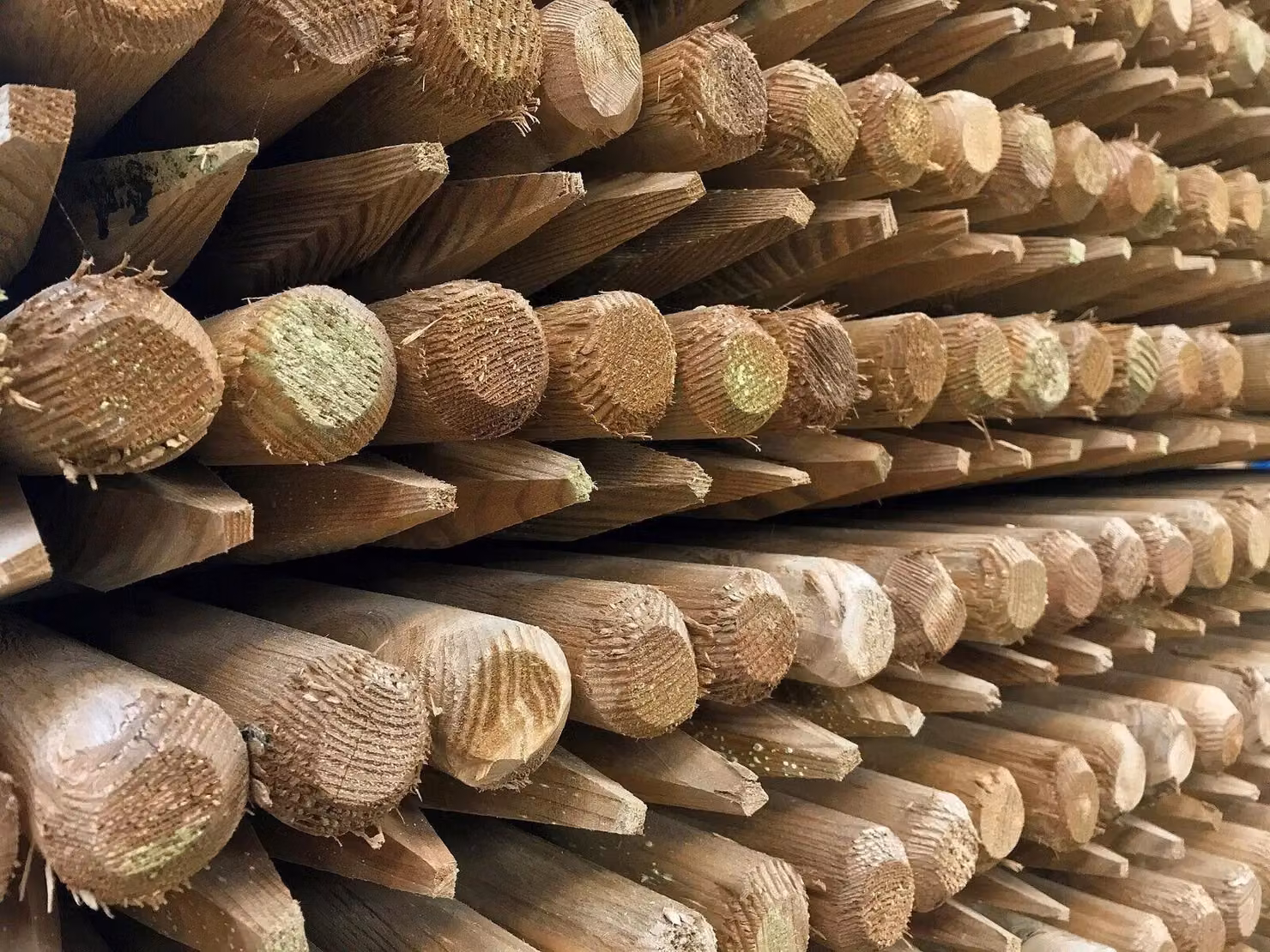 F&G Supplies 10 Pack Round Wooden Fence Posts, Pressure Treated, Brown, Height: 165 cm, Diameter: 7.5 cm – 3