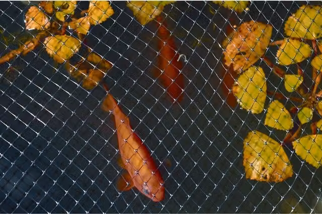 Apollo Gardening Black Crop and Pond Protection Net for Vegetable Gardens
