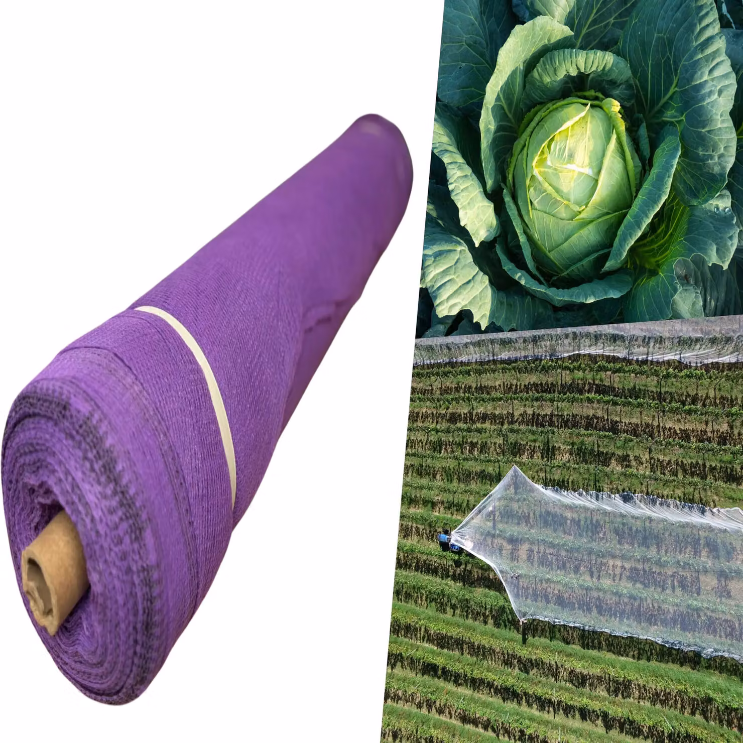 Pegdev Purple UV Stabilised Heavy Duty Plant and Crop Protection Netting, W: 2 m x L: 14 m – 3
