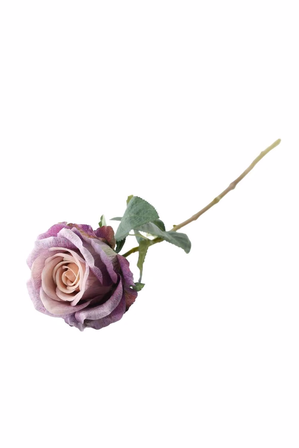 Essential Silks KDMD Essential Vintage Lilac Garden Rose in Purple – 2
