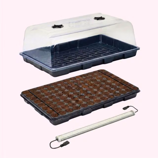 Plants By Post 26W LED Hard Top Propagation Kit with 104 Plugs in Black and Transparent