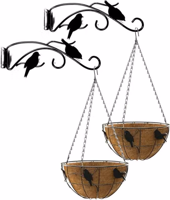 Primrose Black Perching Birds Hanging Basket and Bracket Set with Brown Coco Liner