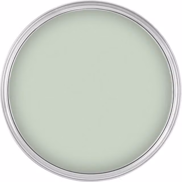Dulux Silk Emulsion Paint in Willow Tree Green, 5l