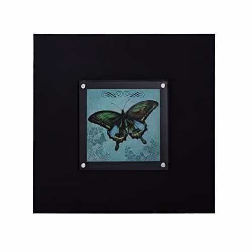 Premier Housewares Butterfly Design Framed Wall Art in Black and Multicolour