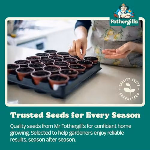 Mr Fothergill's Yellow Courgette Vegetable Seeds – 3