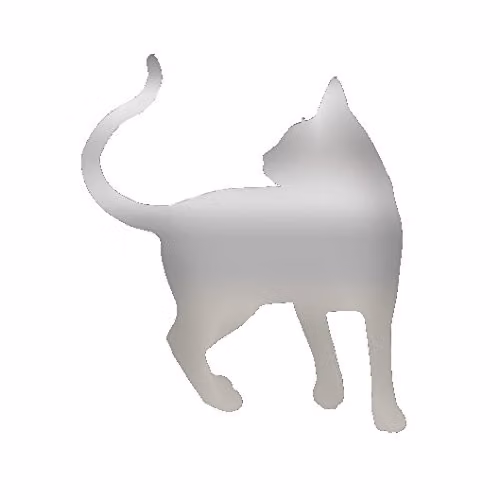 Cat Style 21 Silver Acrylic Pet Mirror, W/D/H: 31.5 x 31.5 x 3.0 cm