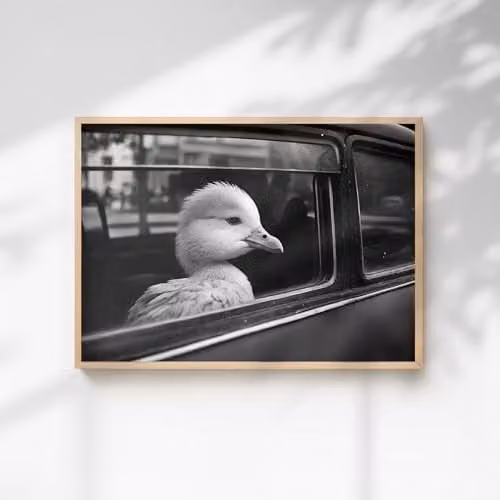 60 Second Makeover Duck In A Car Illustration Paper Poster, A3, Multicolour